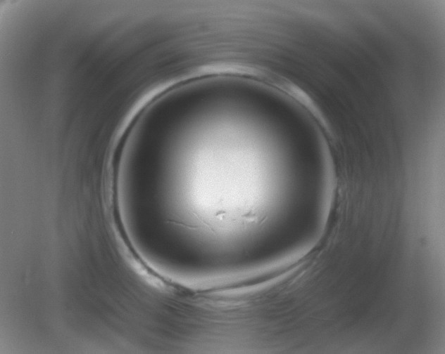 X0000082991140200702011422