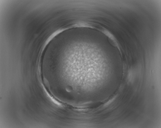 X0000082991141200702011422