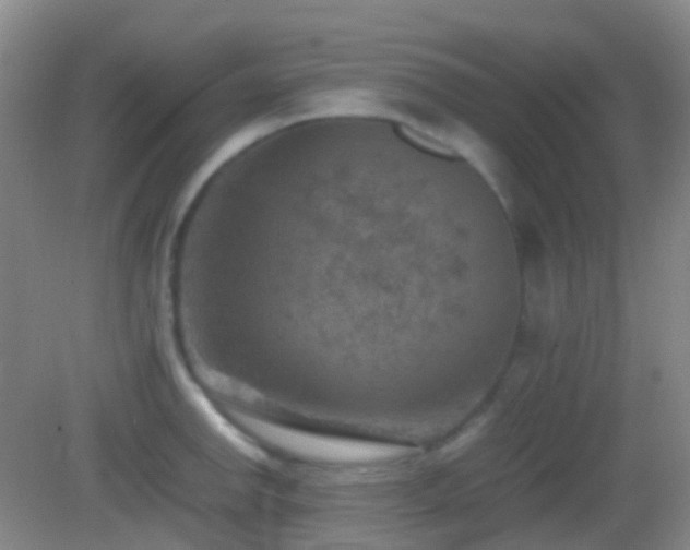 X0000082991142200702011422