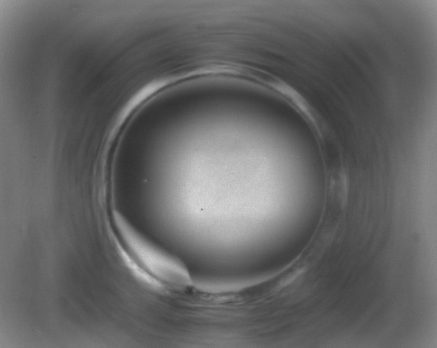 X0000082991143200702011422