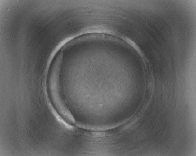 X0000082991144200702011422