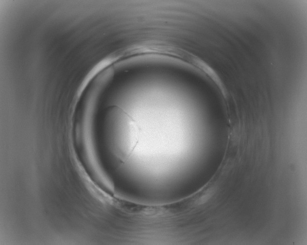 X0000082991146200702011422