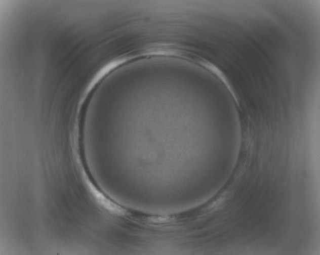 X0000082991147200702011422