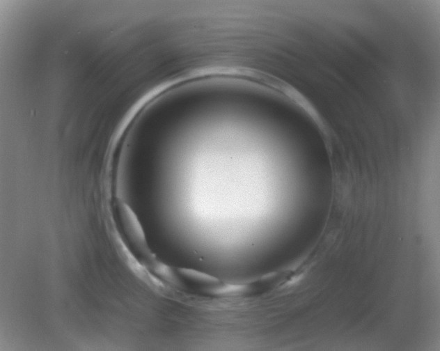 X0000082991148200702011422