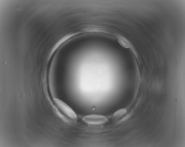 X0000082991149200702011422