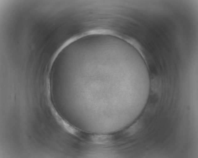 X0000082991150200702011422