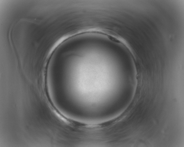 X0000082991151200702011422