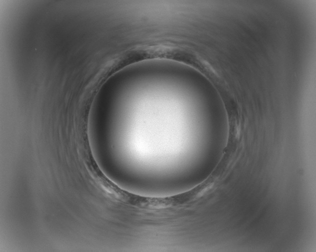 X0000082991153200702011421