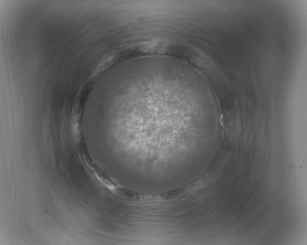 X0000082991154200702011421