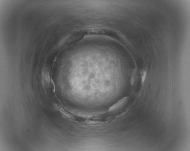 X0000082991155200702011421