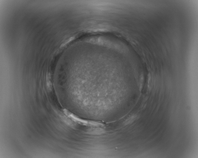 X0000082991156200702011421