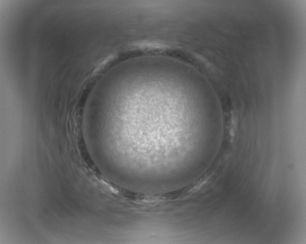 X0000082991157200702011421