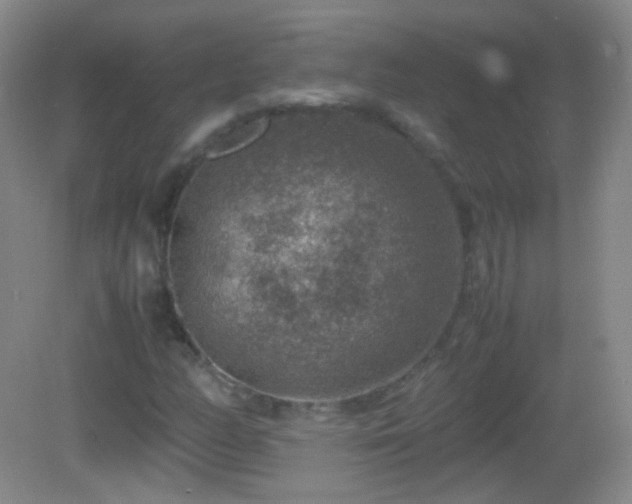 X0000082991158200702011421