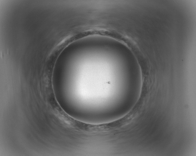 X0000082991159200702011421