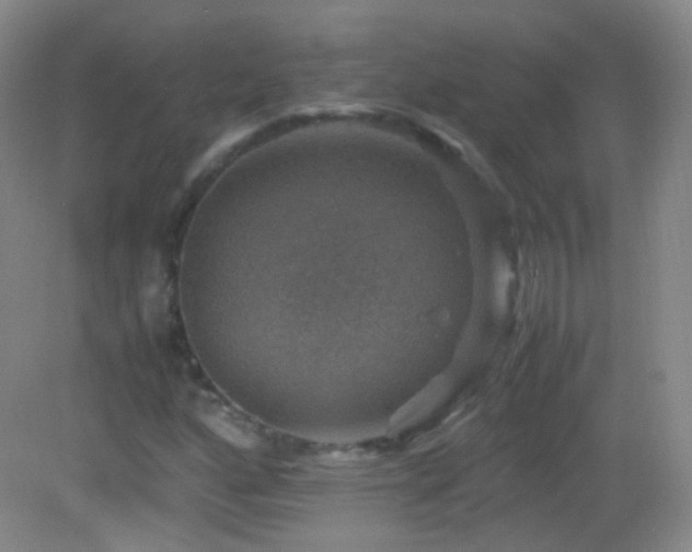 X0000082991160200702011421