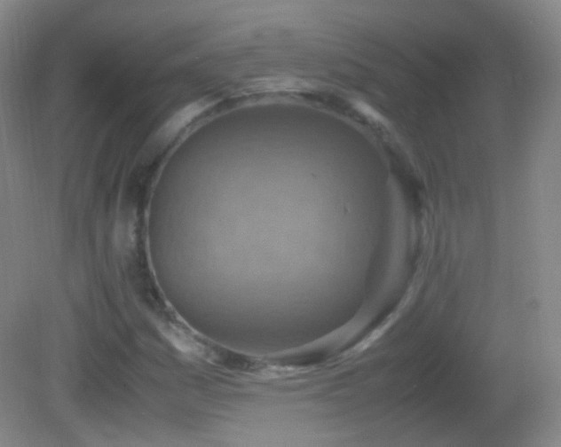 X0000082991161200702011421