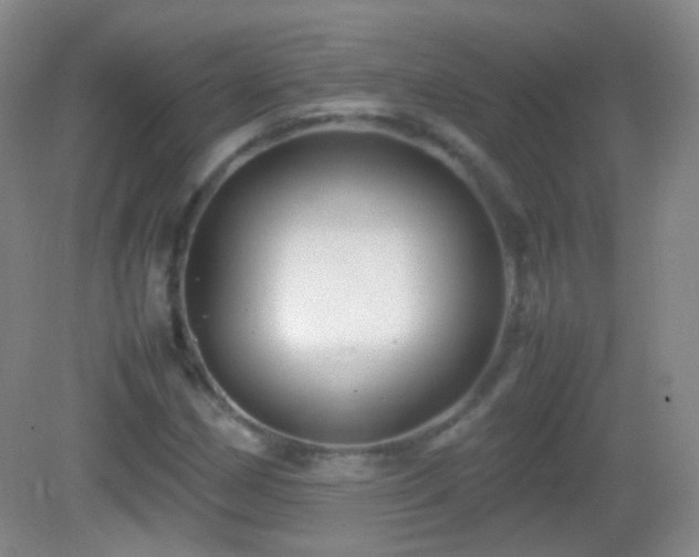 X0000082991162200702011421