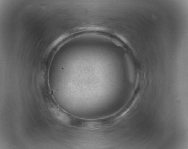 X0000082991163200702011421