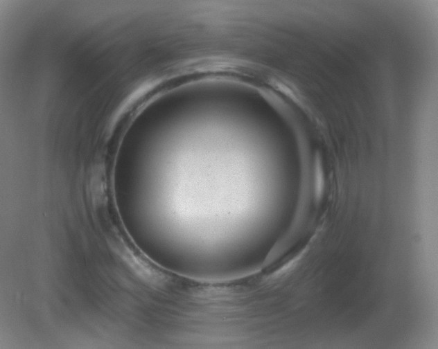 X0000082991164200702011421