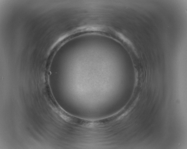 X0000082991166200702011421