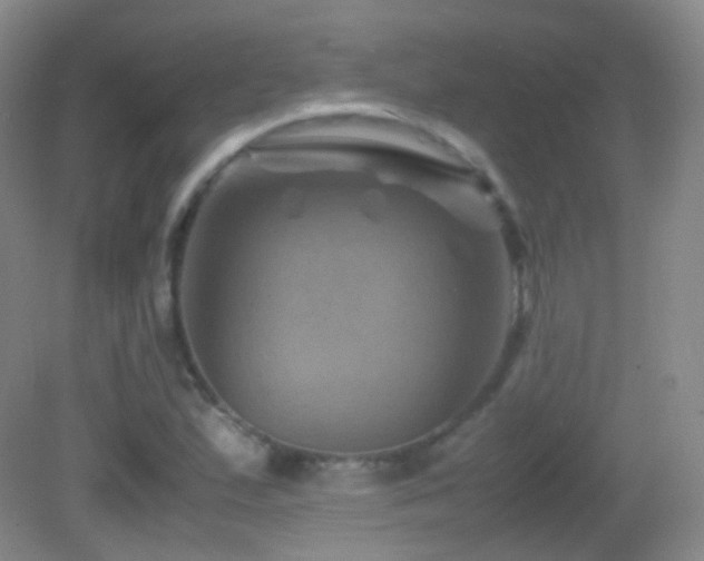 X0000082991167200702011421