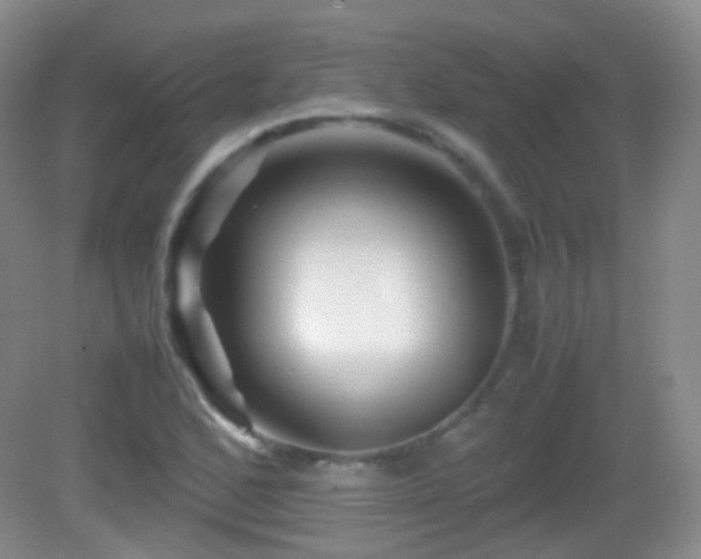 X0000082991168200702011421