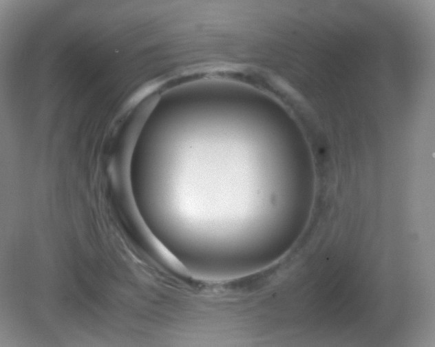 X0000082991169200702011421