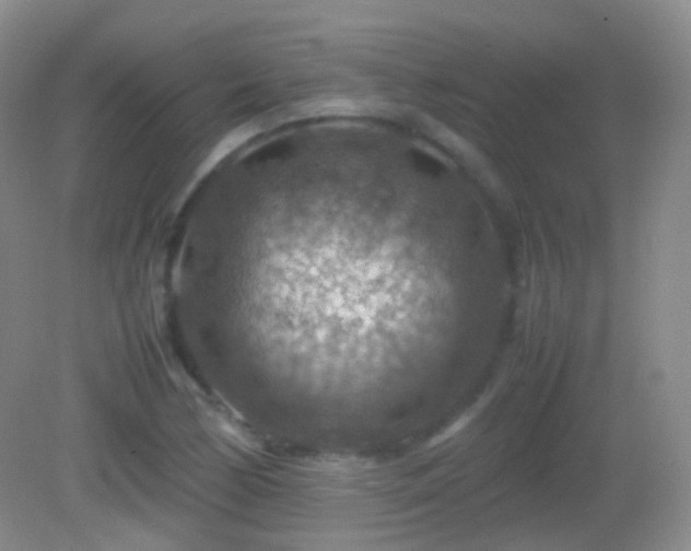 X0000082991170200702011421