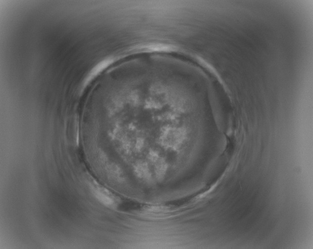 X0000082991171200702011421