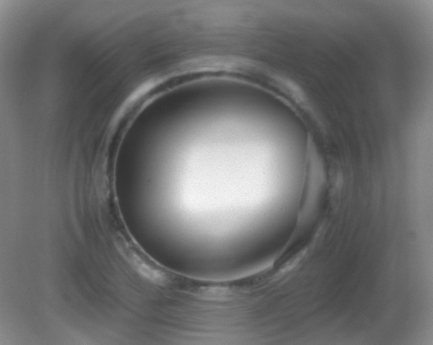 X0000082991172200702011421