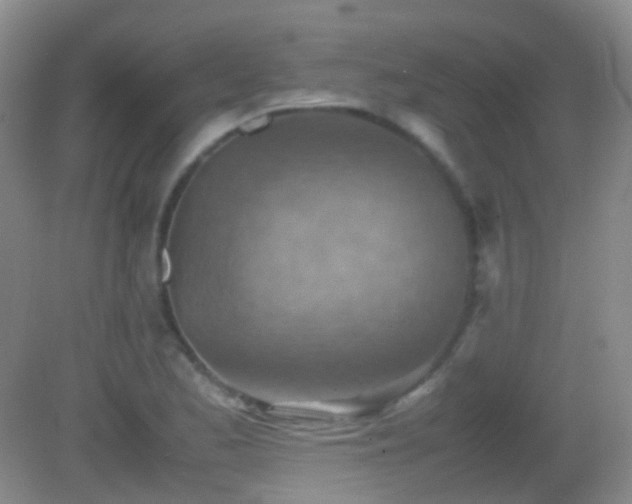 X0000082991173200702011421