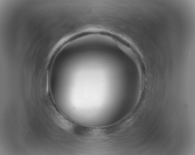 X0000082991175200702011421