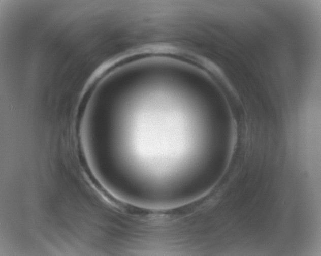 X0000082991176200702011421