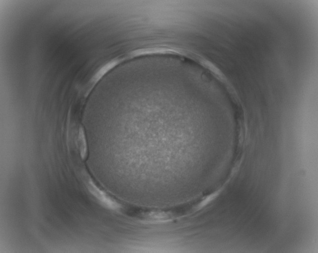 X0000082991177200702011421