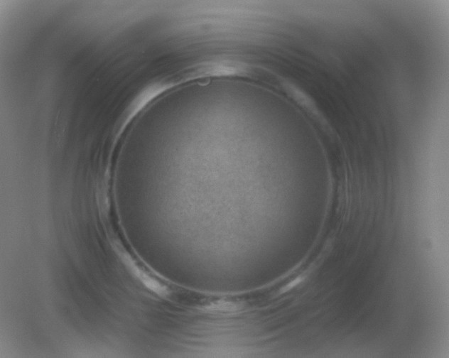 X0000082991178200702011421