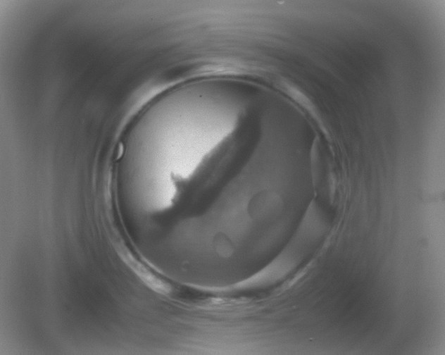 X0000082991179200702011421