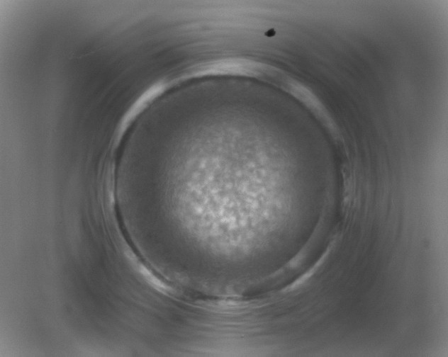 X0000082991180200702011421