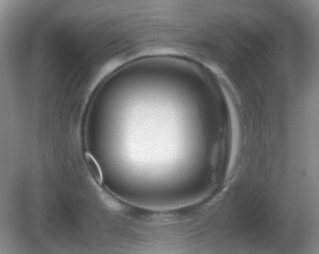 X0000082991181200702011421