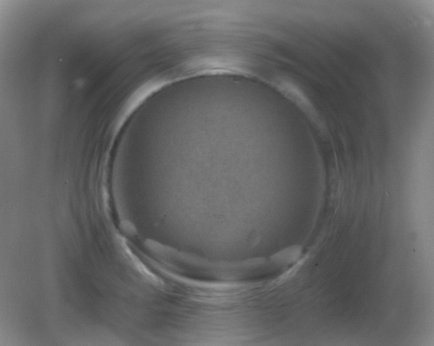 X0000082991182200702011421