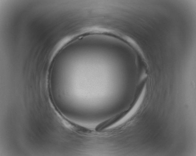 X0000082991183200702011421