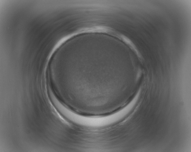 X0000082991184200702011421