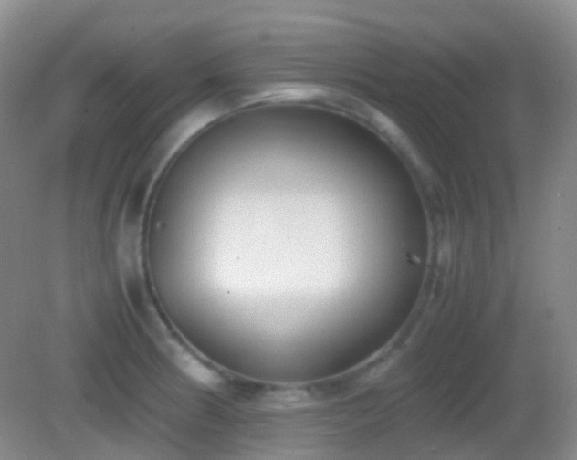 X0000082991186200702011421