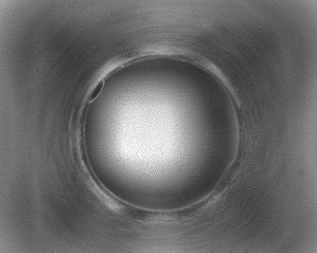 X0000082991187200702011421