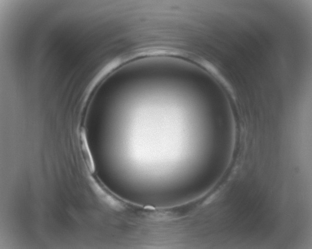 X0000082991189200702011421