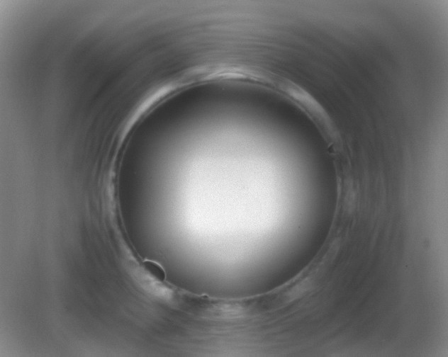 X0000082991190200702011421