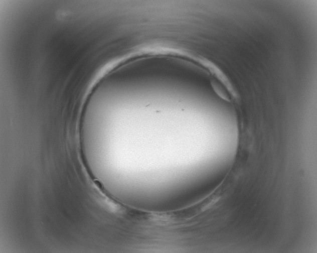 X0000082991191200702011421