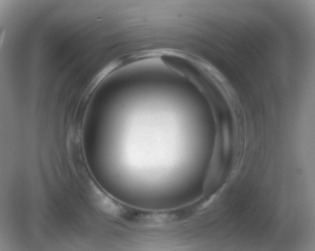 X0000082991193200702011421