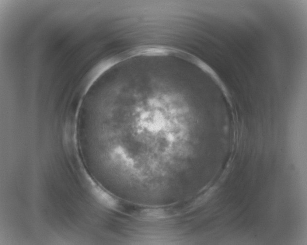 X0000082991194200702011421