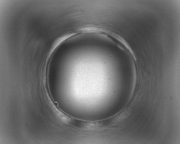 X0000082991195200702011421