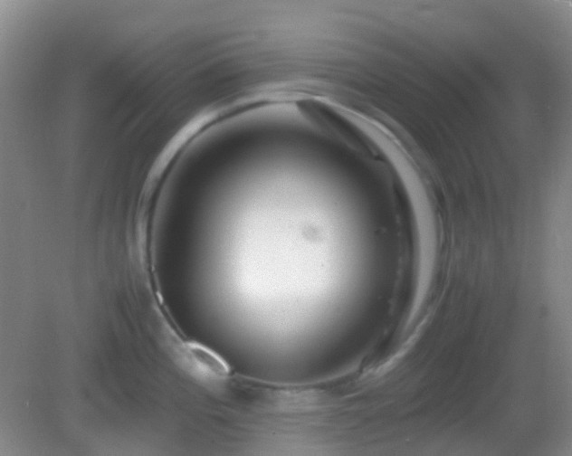 X0000082991196200702011421